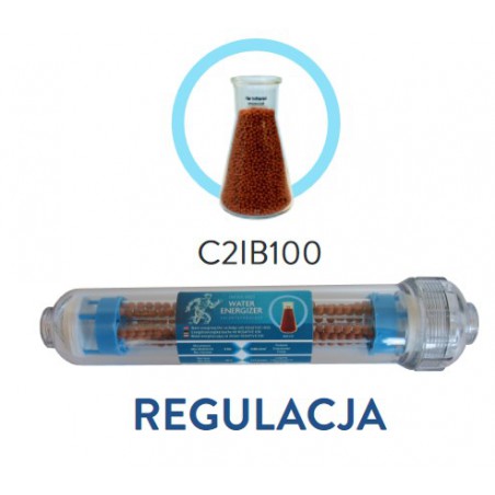 Wkład liniowy 2" bioceramiczny 100 GW1/4" - C2IB100